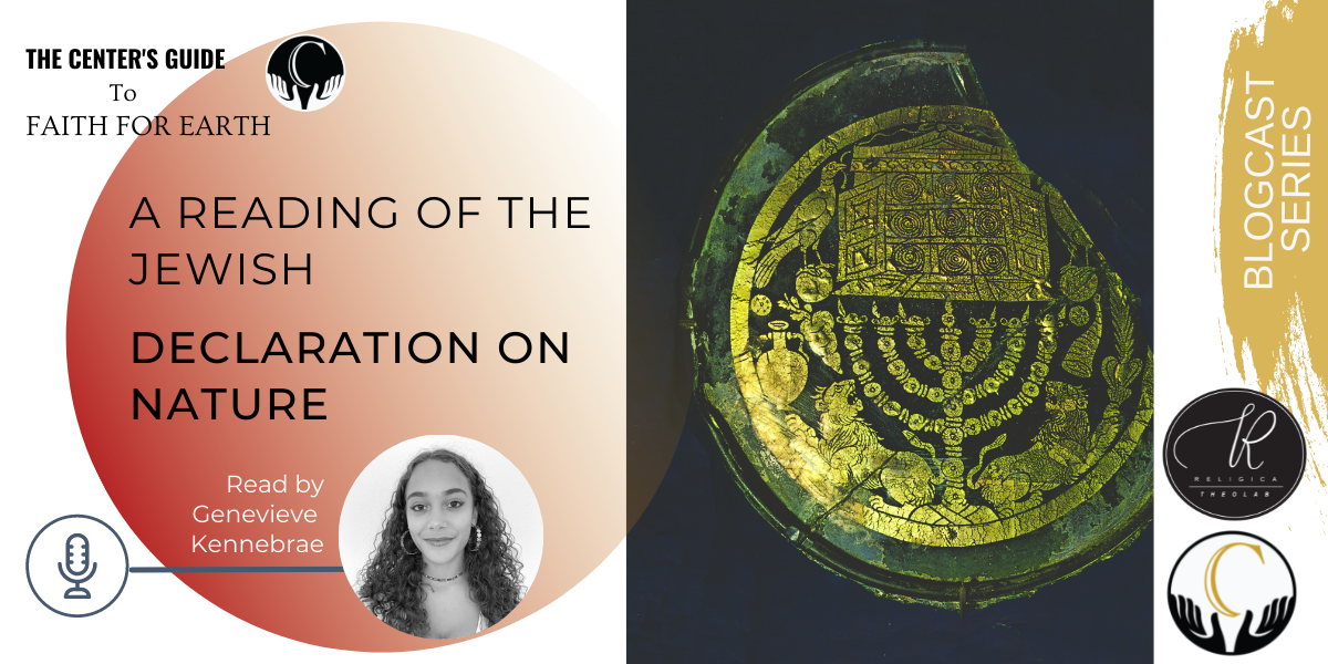 Faith For Earth Blogcast 6