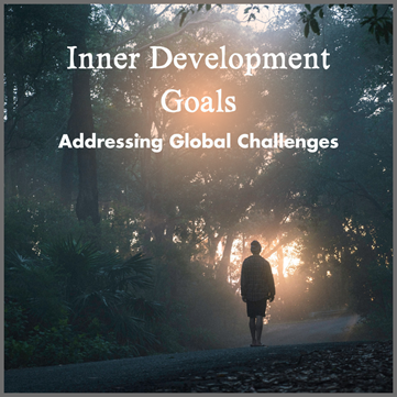 Addressing global challenges canvas cover image